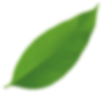 Best Cleaning Services In Bristol &Amp; Bath Uk (London) | Primetouch Cleaning Services - Primetouch Cleaning Services, Best Residential Cleaning Services In Bristol &Amp; Bath Uk 2026,